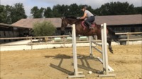 Monitrice d'équitation indépendante